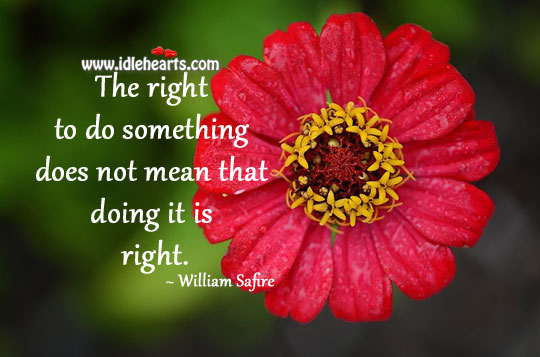 Just doing… Does not mean it is right. William Safire Picture Quote