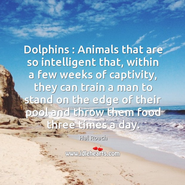 Dolphins : Animals that are so intelligent that, within a few weeks of Image