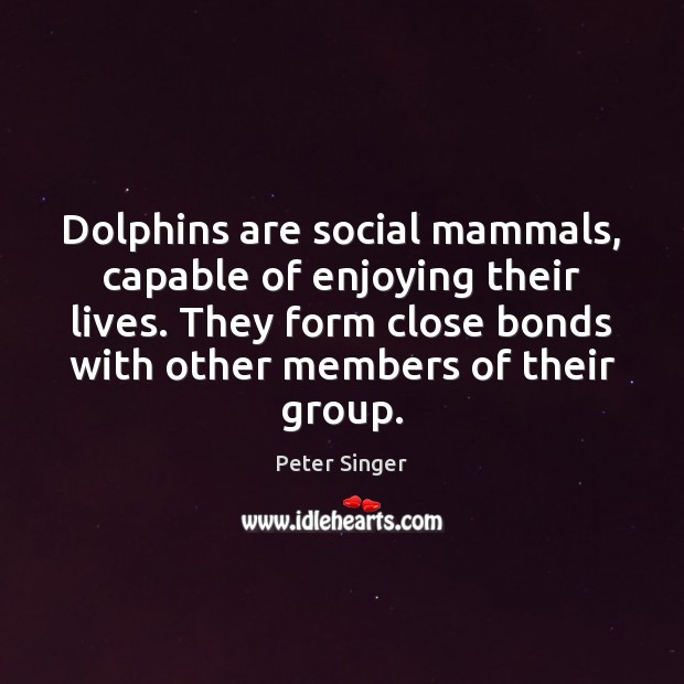 Dolphins are social mammals, capable of enjoying their lives. They form close Peter Singer Picture Quote