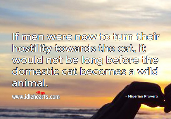 If men were now to turn their hostility towards the cat, it would not be long before the domestic cat becomes a wild animal. Nigerian Proverbs Image