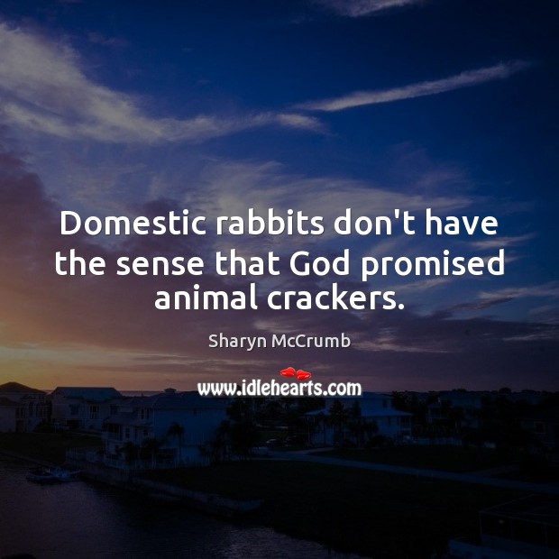 Domestic rabbits don’t have the sense that God promised animal crackers. Sharyn McCrumb Picture Quote