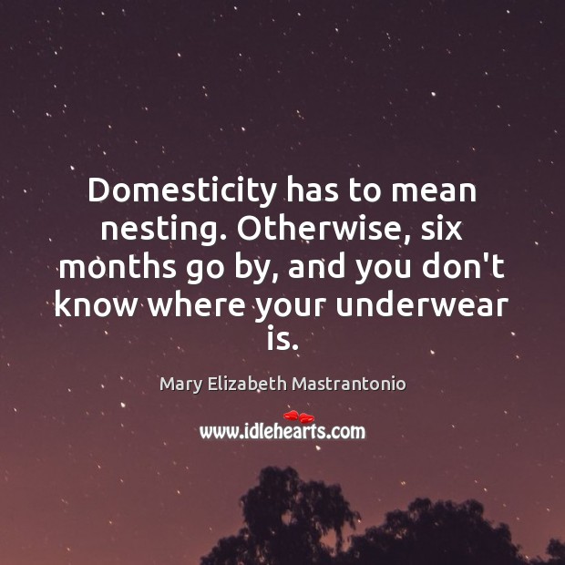Domesticity has to mean nesting. Otherwise, six months go by, and you Mary Elizabeth Mastrantonio Picture Quote