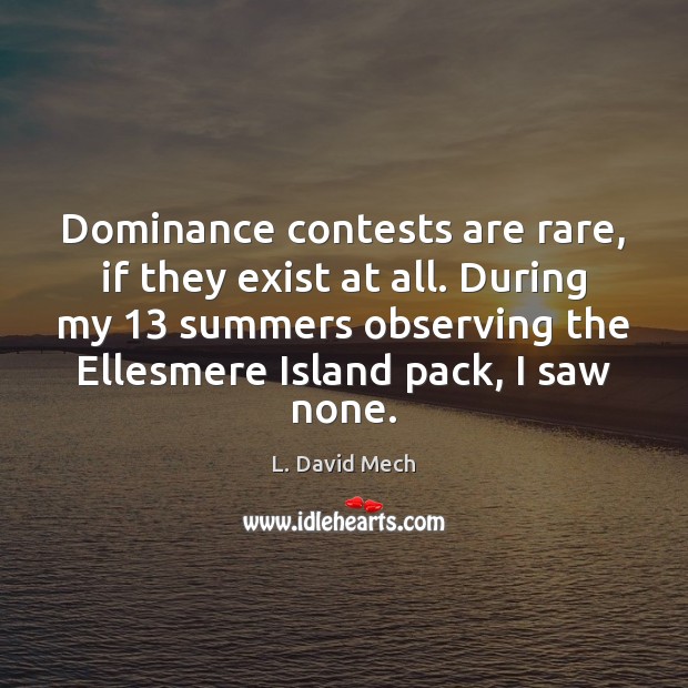 Dominance contests are rare, if they exist at all. During my 13 summers Image