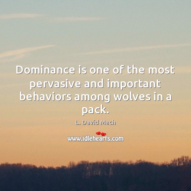 Dominance is one of the most pervasive and important behaviors among wolves in a pack. L. David Mech Picture Quote