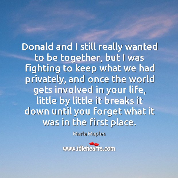 Donald and I still really wanted to be together, but I was fighting to keep what we had privately Marla Maples Picture Quote