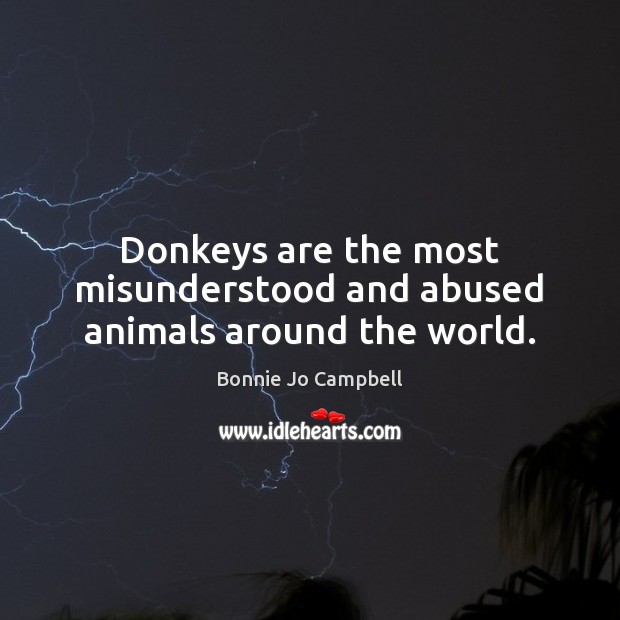 Donkeys are the most misunderstood and abused animals around the world. Bonnie Jo Campbell Picture Quote