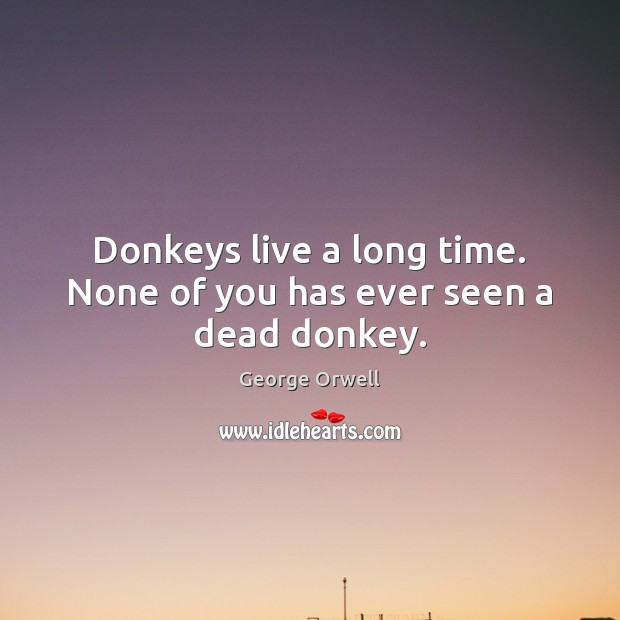 Donkeys live a long time. None of you has ever seen a dead donkey. Image