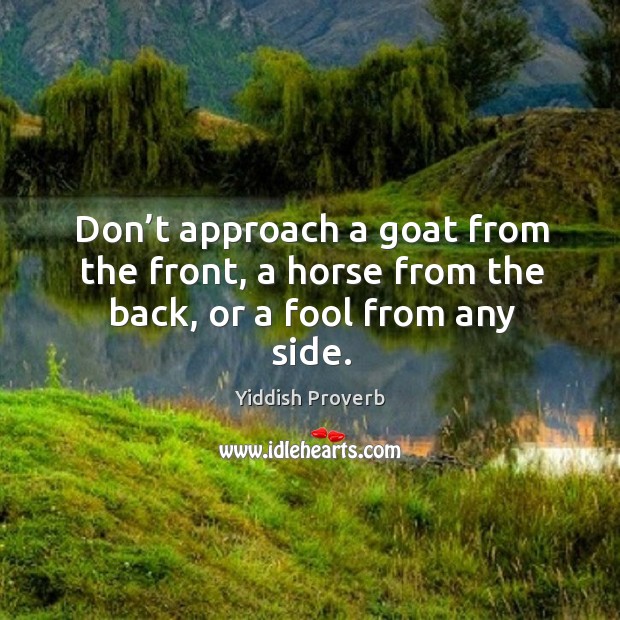 Don’t approach a goat from the front, a horse from the back, or a fool from any side. Yiddish Proverbs Image