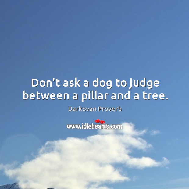 Don’t ask a dog to judge between a pillar and a tree. Darkovan Proverbs Image