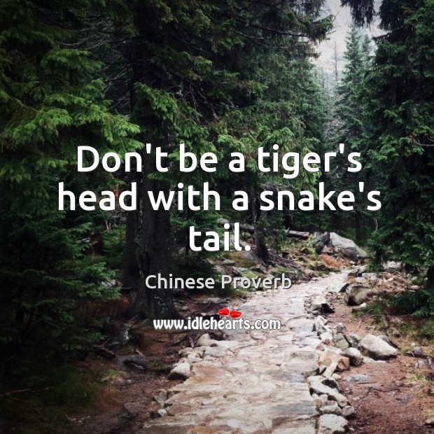 Don’t be a tiger’s head with a snake’s tail. Image