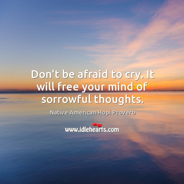 Don’t be afraid to cry. It will free your mind of sorrowful thoughts. Native American Hopi Proverbs Image