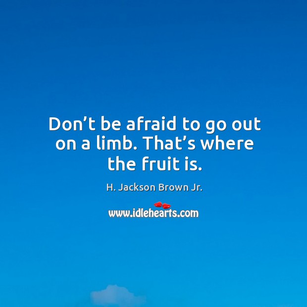 Don’t be afraid to go out on a limb. That’s where the fruit is. H. Jackson Brown Jr. Picture Quote