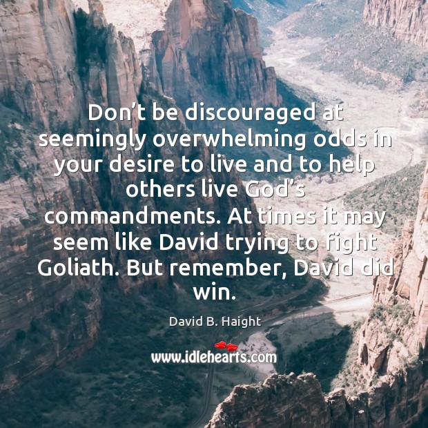 Don’t be discouraged at seemingly overwhelming odds in your desire to David B. Haight Picture Quote