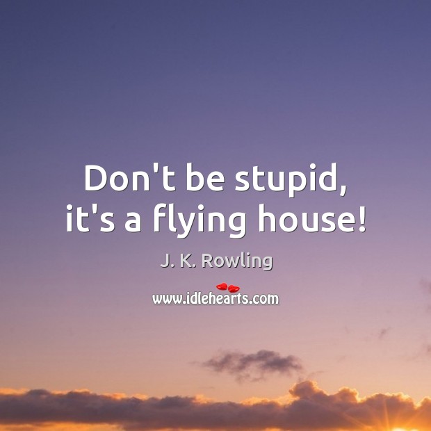 Don’t be stupid, it’s a flying house! J. K. Rowling Picture Quote