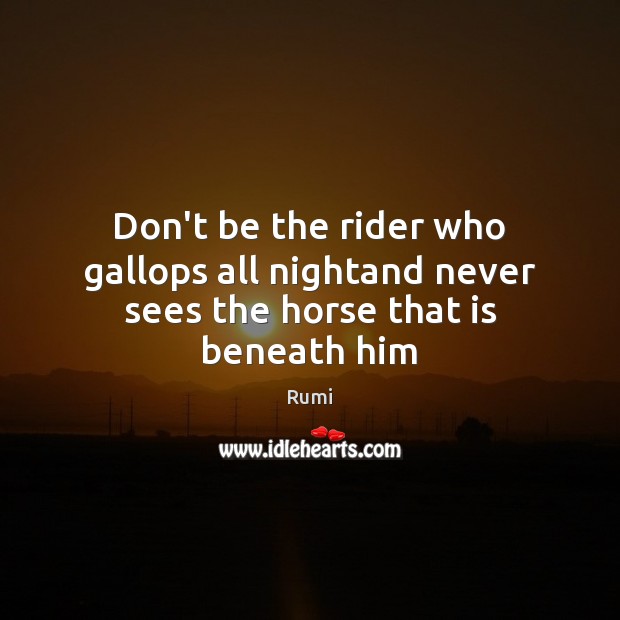 Don’t be the rider who gallops all nightand never sees the horse that is beneath him Rumi Picture Quote