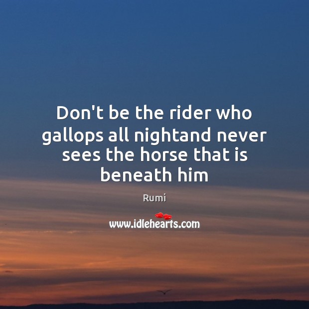 Don’t be the rider who gallops all nightand never sees the horse that is beneath him Rumi Picture Quote