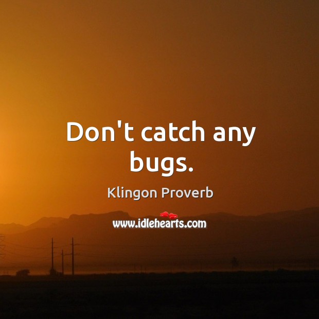 Don’t catch any bugs. Klingon Proverbs Image