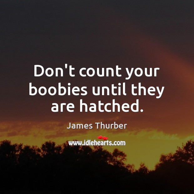 Don’t count your boobies until they are hatched. James Thurber Picture Quote