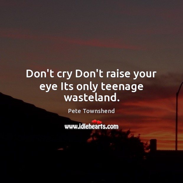 Don’t cry Don’t raise your eye Its only teenage wasteland. Pete Townshend Picture Quote