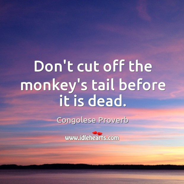 Don’t cut off the monkey’s tail before it is dead. Congolese Proverbs Image
