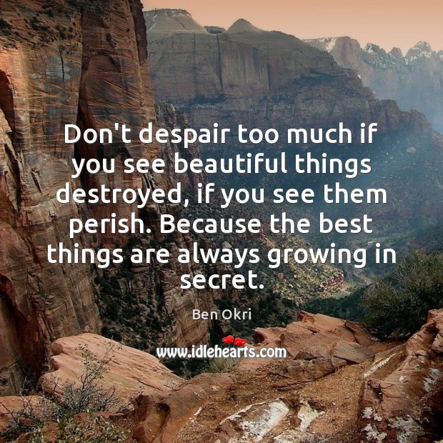 Don’t despair too much if you see beautiful things destroyed, if you Ben Okri Picture Quote