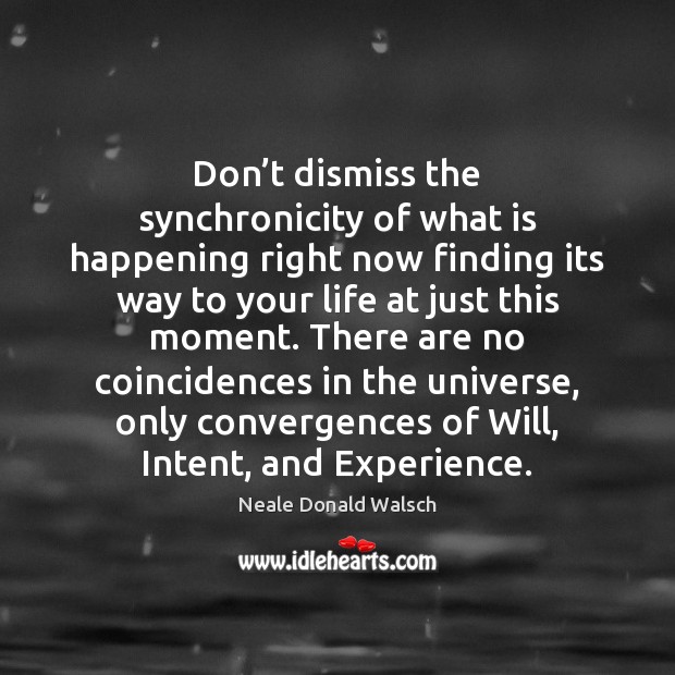 Don’t dismiss the synchronicity of what is happening right now finding Neale Donald Walsch Picture Quote