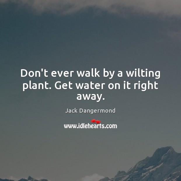 Don’t ever walk by a wilting plant. Get water on it right away. Jack Dangermond Picture Quote