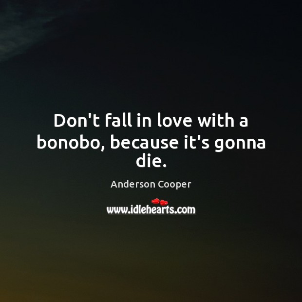 Don’t fall in love with a bonobo, because it’s gonna die. Anderson Cooper Picture Quote