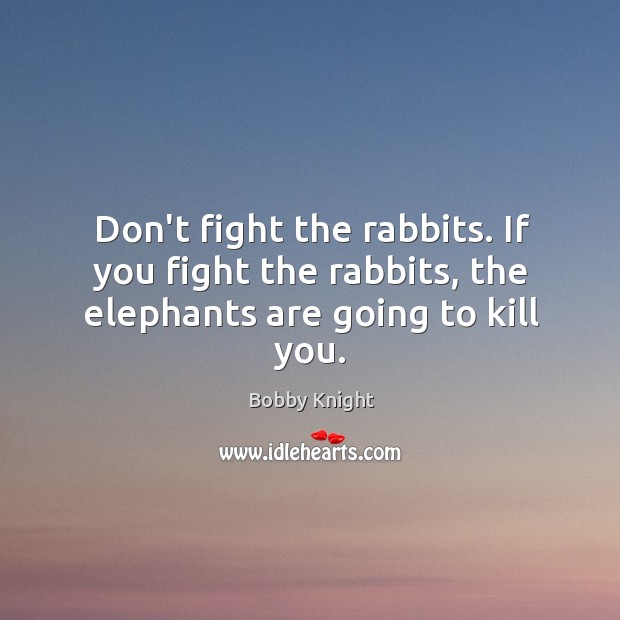 Don’t fight the rabbits. If you fight the rabbits, the elephants are going to kill you. Bobby Knight Picture Quote
