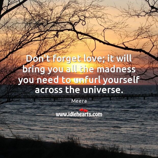 Don’t forget love; it will bring you all the madness you need Meera Picture Quote