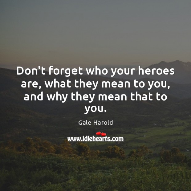Don’t forget who your heroes are, what they mean to you, and why they mean that to you. Gale Harold Picture Quote