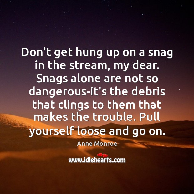 Don’t get hung up on a snag in the stream, my dear. Anne Monroe Picture Quote