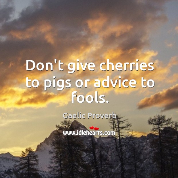 Don’t give cherries to pigs or advice to fools. Gaelic Proverbs Image