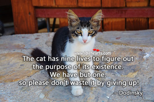 Don’t waste life by giving up! Dodinsky Picture Quote