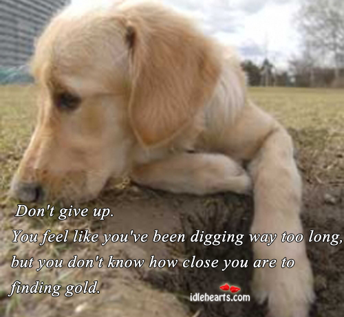 Don’t give up. You feel like you’ve been digging. Image
