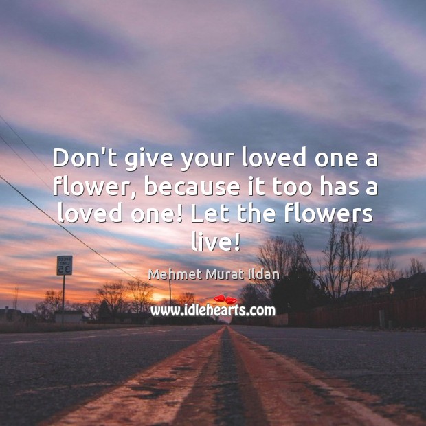 Don’t give your loved one a flower, because it too has a loved one! Let the flowers live! Mehmet Murat Ildan Picture Quote