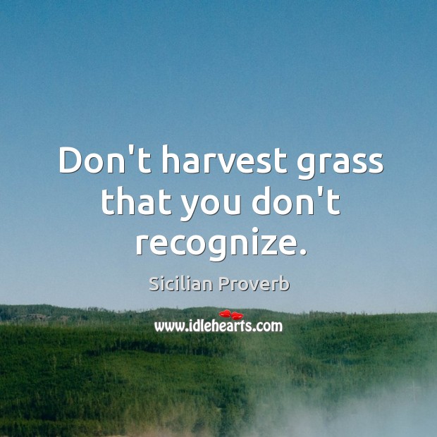 Don’t harvest grass that you don’t recognize. Image
