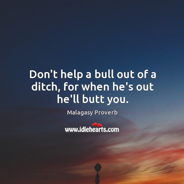 Don’t help a bull out of a ditch, for when he’s out he’ll butt you. Malagasy Proverbs Image