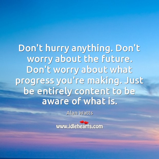 Don’t hurry anything. Don’t worry about the future. Don’t worry about what Alan Watts Picture Quote