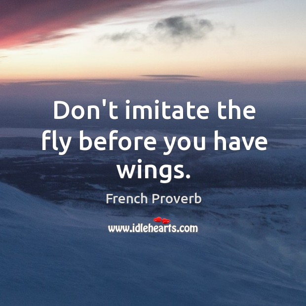 Don’t imitate the fly before you have wings. French Proverbs Image