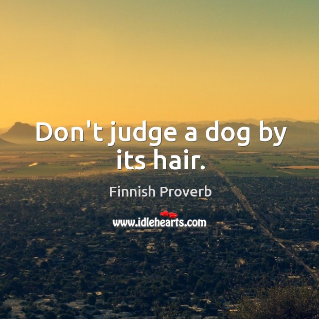Don’t judge a dog by its hair. Finnish Proverbs Image