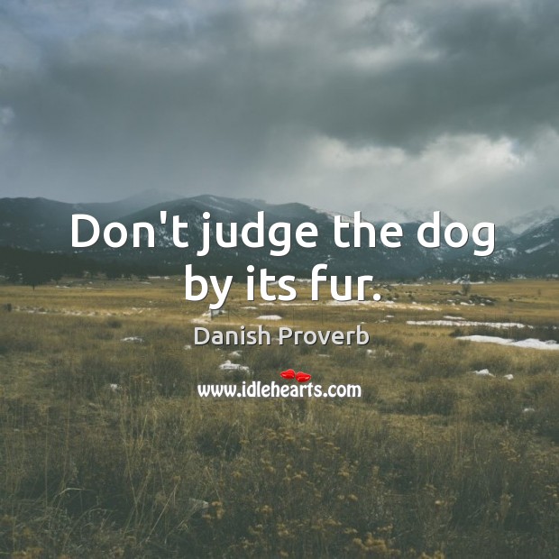 Don’t judge the dog by its fur. Don’t Judge Quotes Image