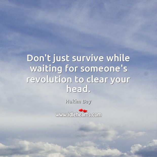 Don’t just survive while waiting for someone’s revolution to clear your head. Hakim Bey Picture Quote