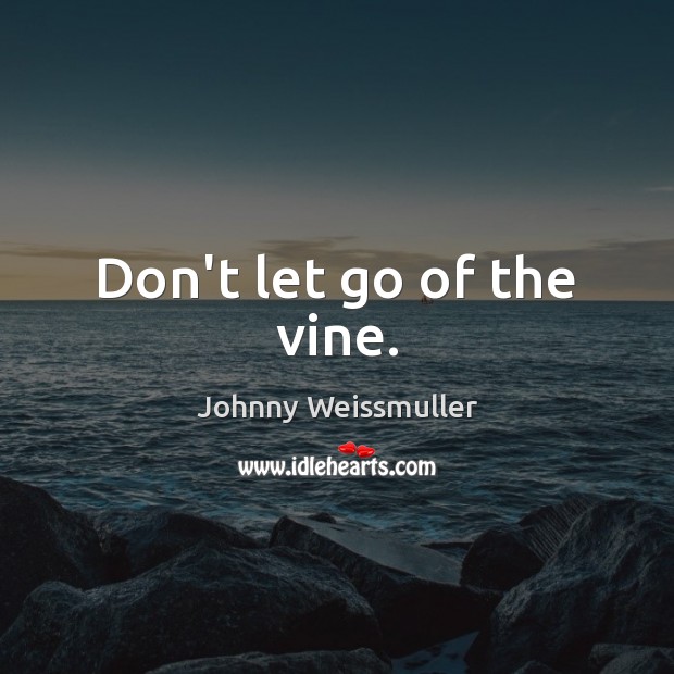 Don’t let go of the vine. Image