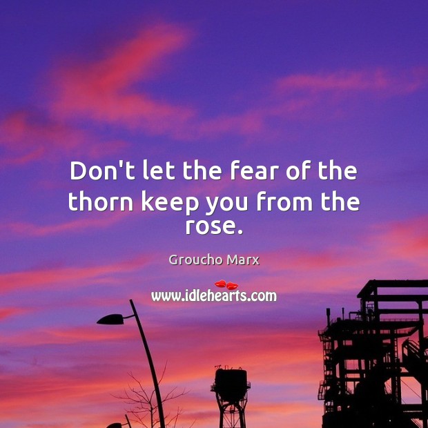 Don’t let the fear of the thorn keep you from the rose. Image