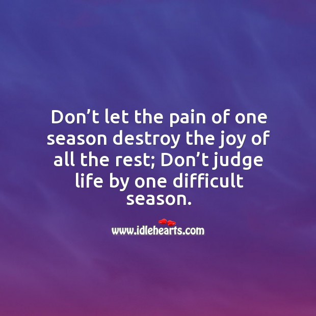 Don’t let the pain of one season destroy the joy of all the rest. Don’t Judge Quotes Image