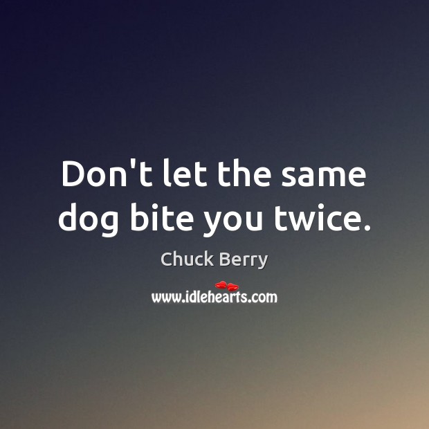 Don’t let the same dog bite you twice. Chuck Berry Picture Quote