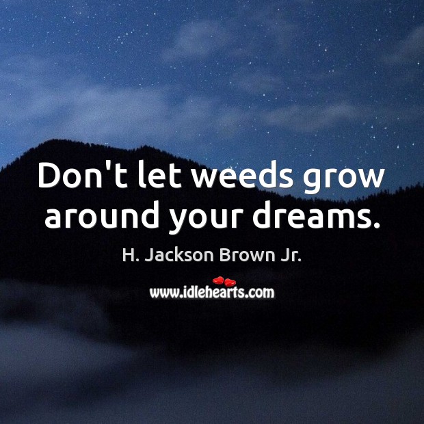 Don’t let weeds grow around your dreams. H. Jackson Brown Jr. Picture Quote