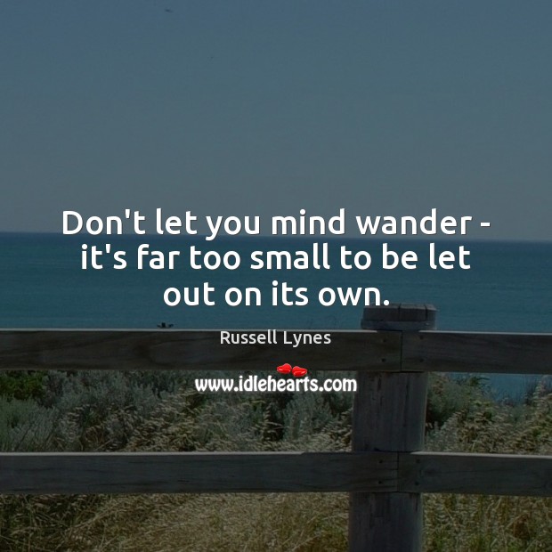 Don’t let you mind wander – it’s far too small to be let out on its own. Russell Lynes Picture Quote