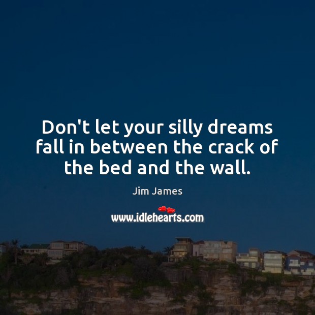 Don’t let your silly dreams fall in between the crack of the bed and the wall. Jim James Picture Quote